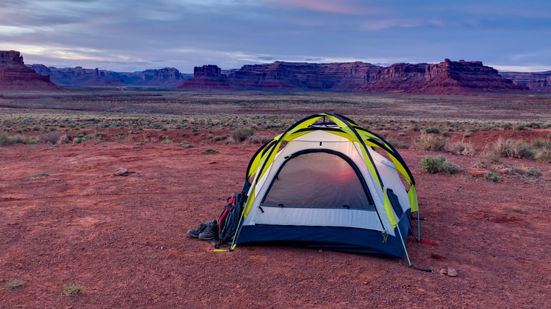 Desert Camping