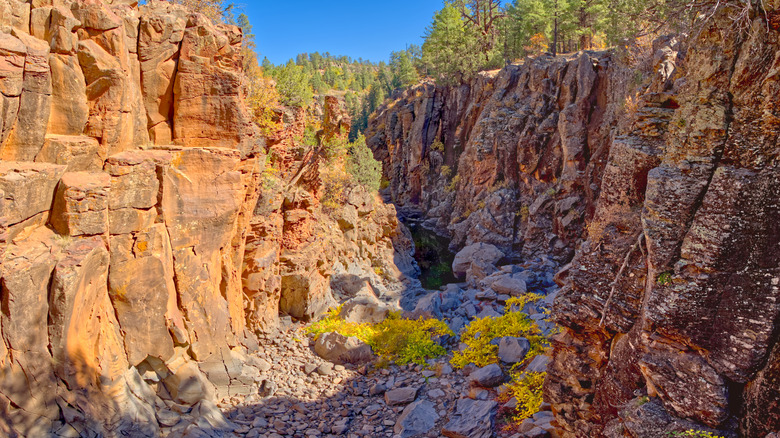 View of Sycamore Canyon from Sycamore Falls near Williams Arizona
