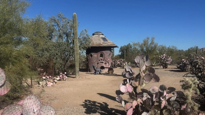 The Magical Mushroom glamping hut at Camp Saguaro in Arizona