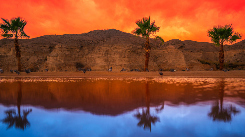 Colorado River desertscape, Bullhead City, AZ