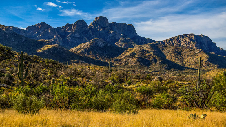 Catalina Mountains seen from the Romero Trail in Catalina State Park