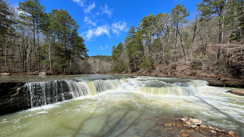 A river waterfall in Arkansas surrounded by trees