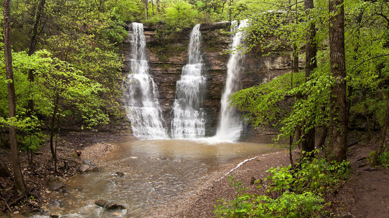 A triple waterfall in a forest in Arkansas