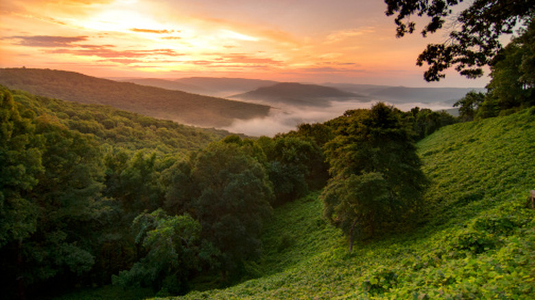 Sunrise over foggy peaks of the Ozark Mountains in Arkansas