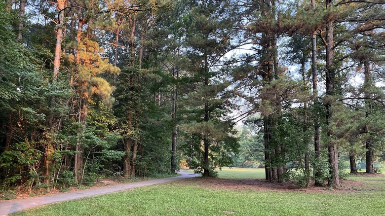 The quaint Mills Park in Bryant, Arkansas, with trees providing ample shading