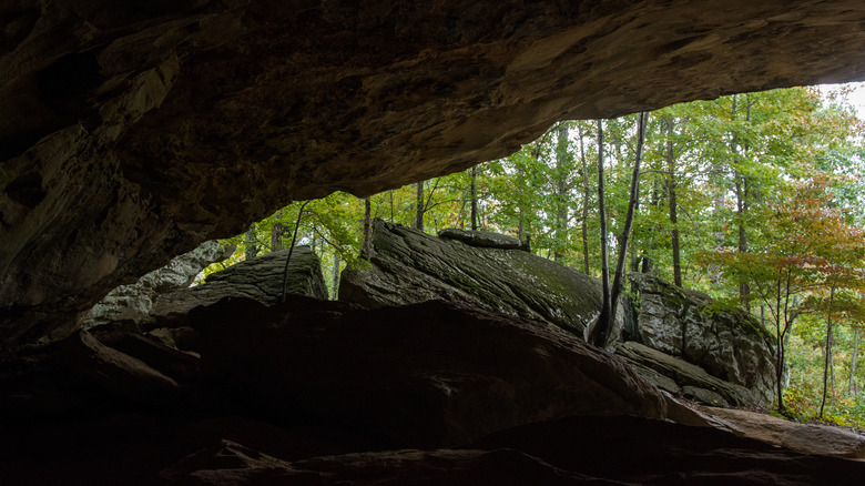 A view from inside a cave at Petit Jean State Park