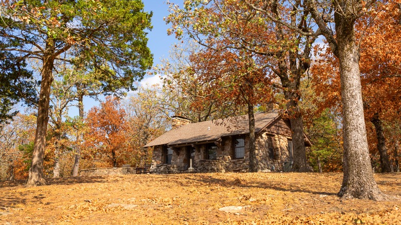 Cabin surrounding by trees that are changing color in the fall