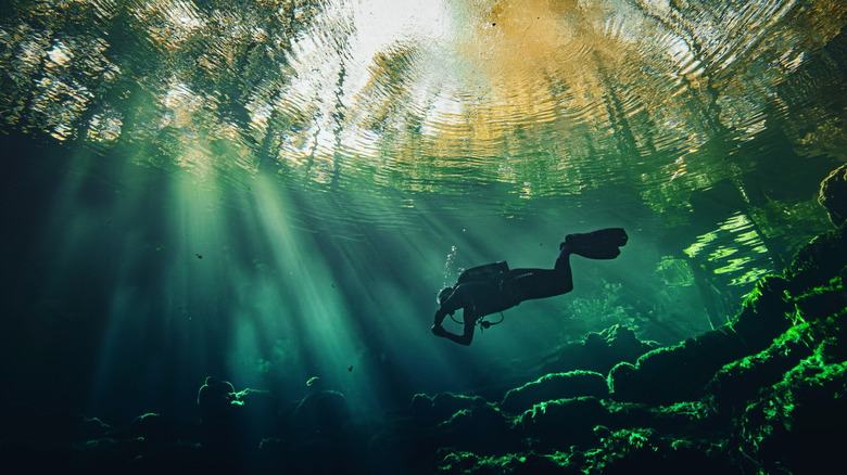 Underwater view of a diver swimming in clear lake