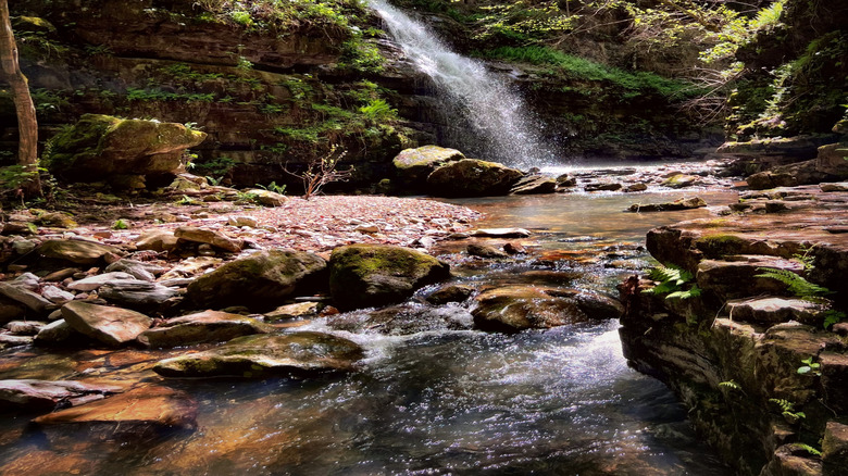 A flowing waterfall surrounded by trees at the BUffalo National River