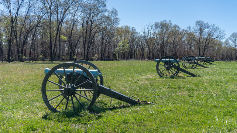 Cannons lined up on a field in the Pea Ridge National Military Park, Arkansas