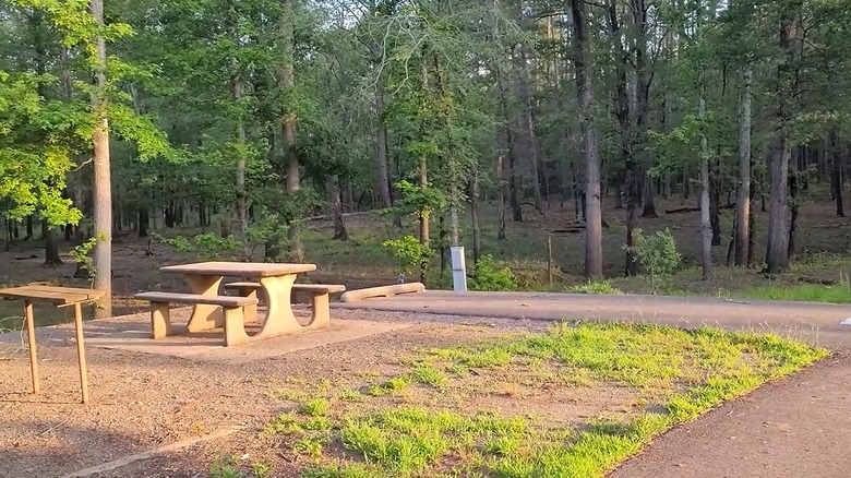 A campsite at Sunlight Bay near Arkansas's oldest artificial lake with a picnic table and power box visible.