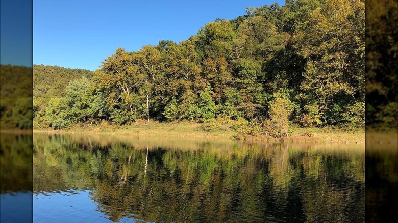 Buffalo River with trees reflected in the water