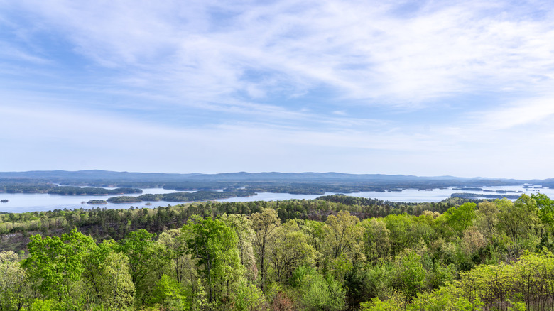Pine trees in Ouachita National Forest surround sparling water at Lake Ouachita.