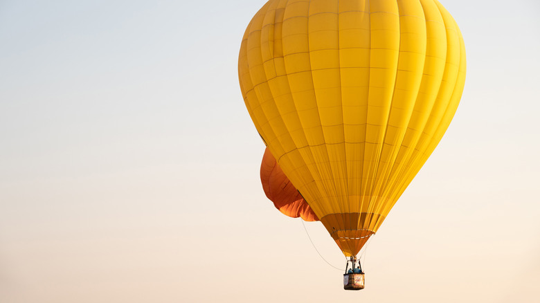 A hot air balloon in the sky