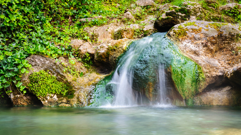 A natural springs in Hot Springs National Park, Arkansas