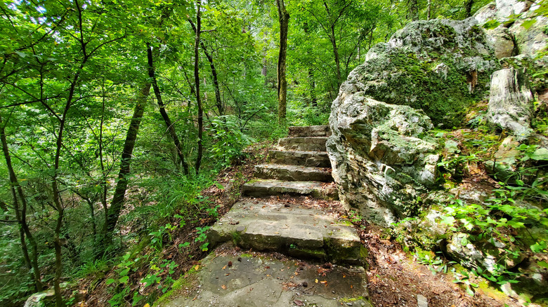Stone steps on a mountain trail in Hot Springs National Park, Arkansas