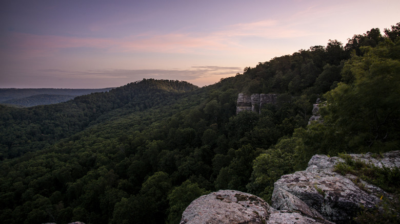 picture of Ozark Mountains with green foliage and rocks