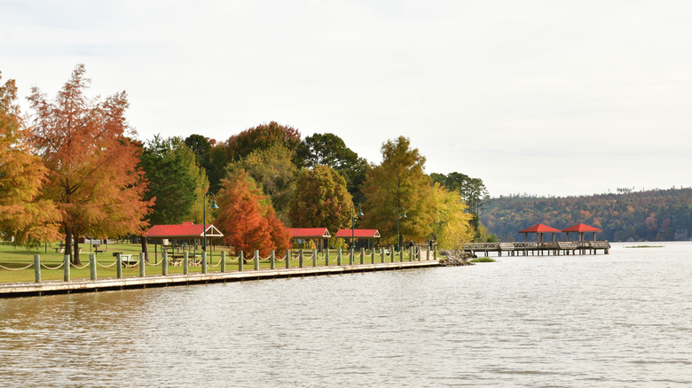 Picnic areas and pier at Lake Dardanelle State Park