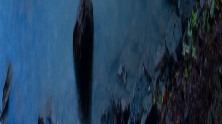 Light glinting off the small pool beneath the waterfall in Pam's Grotto