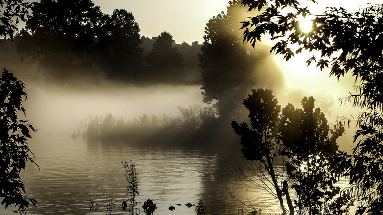 Fog on the White River at Cotter Arkansas