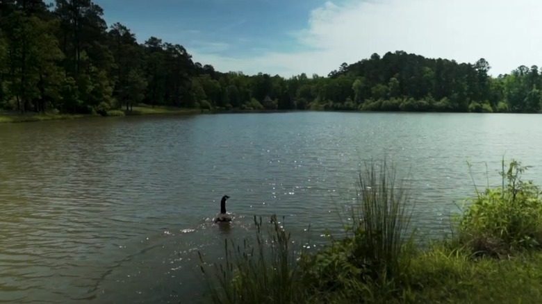 Swan Lake at Wildwood Park for the Arts