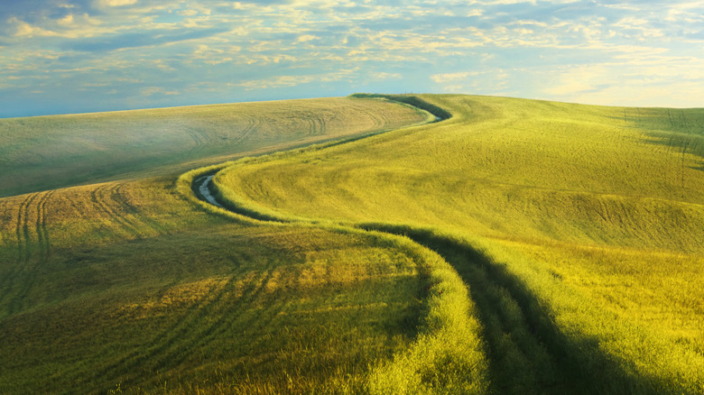 Green grassland and rolling hills under a blue sky at Arrowwood National Wildlife Refuge in North Dakota