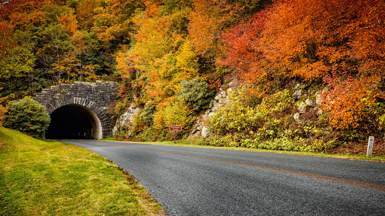 Fryingpan Tunnel surrounded by fall foliage on the Blue Ridge Parkway near Asheville, North Carolina