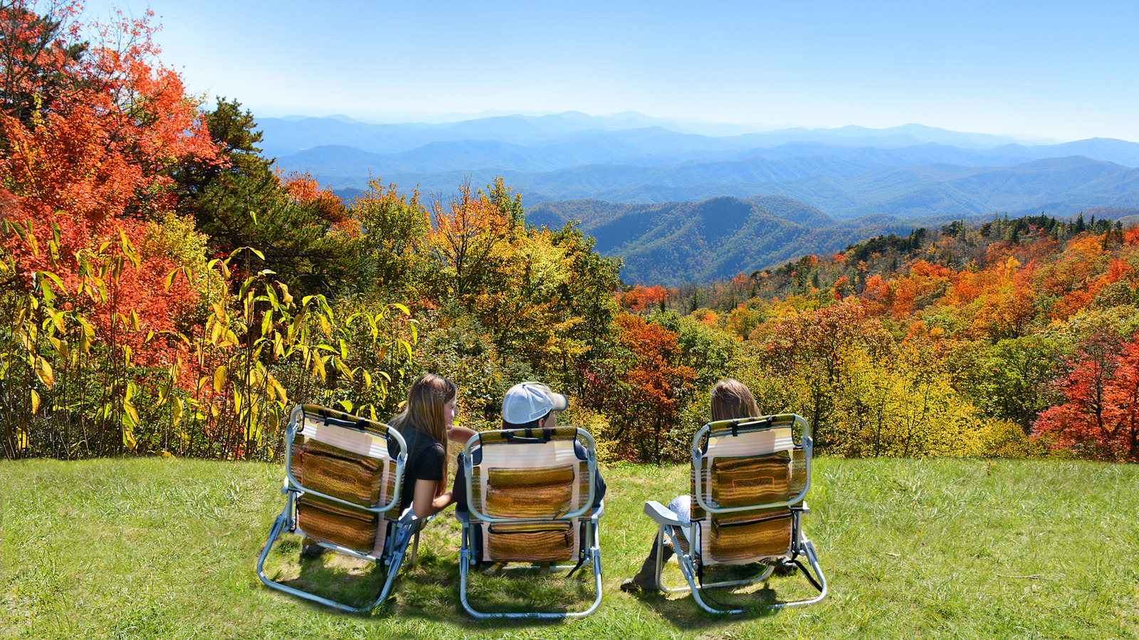 Asheville's 5 Best Family-Friendly Destinations Perfect For A Day Trip