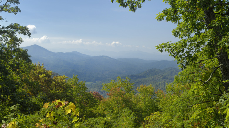 View of mountains from a Woodfin Valley overlook in North Carolina during the day.