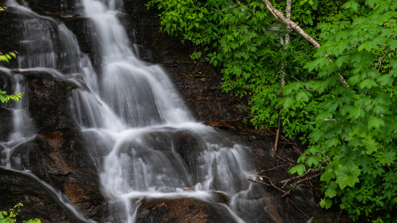 Woodfin Cascade in North Carolina during the day, surrounded by trees.