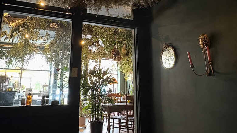 A sunny interior at Flora Botanical Living, Asheville