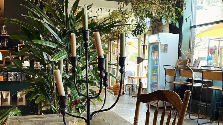 Cafe seating at Flora Botanical Living, Asheville