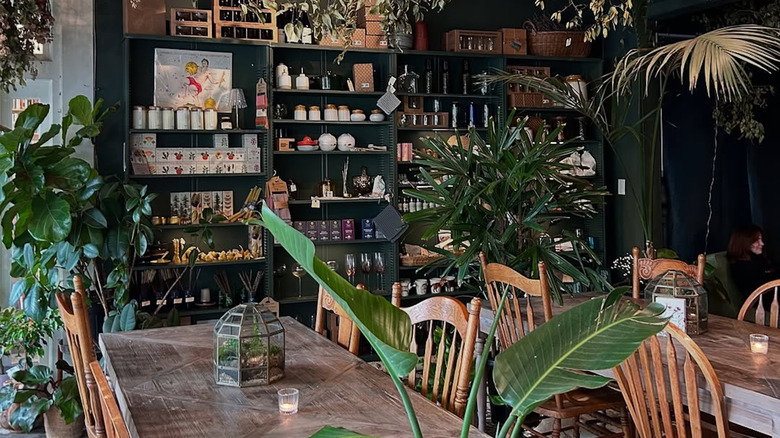 Lush greenery over the cafe area at Flora Botanical Living, Asheville