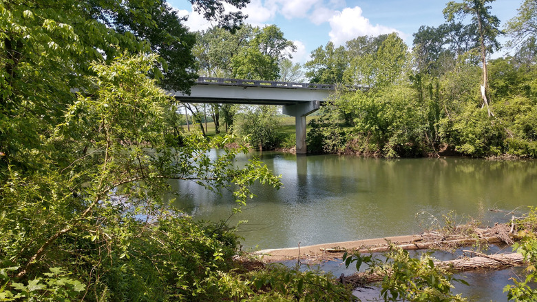Summer scene in Ashland City, Tennessee