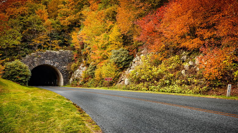 Fryingpan Tunnel surrounded by fall foliage on the Blue Ridge Parkway near Asheville, North Carolina