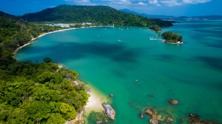 Trees along the coast of Langkawi, Malaysia