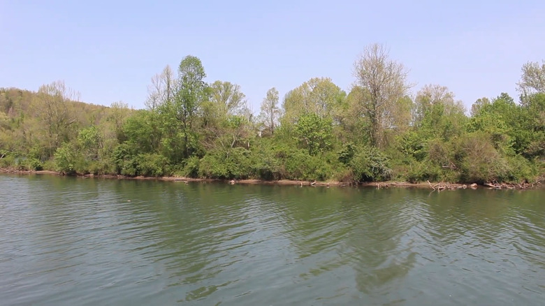 Clinch River and trees in the background at Aspire Park