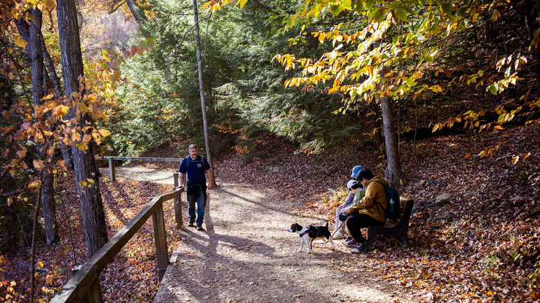People and their dog on trail at Turkey Run State Park