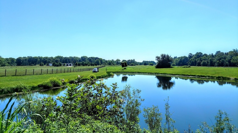 Possum Creek MetroPark in Dayton, Ohio