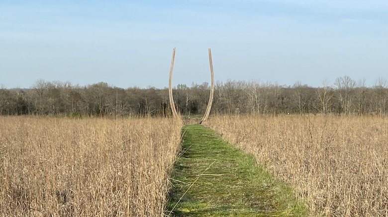 A trail at Possum Creek MetroPark in Dayton, Ohio