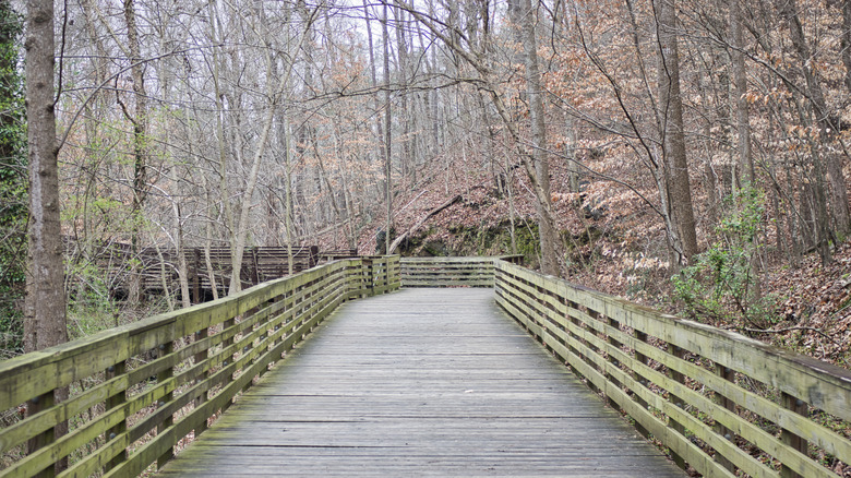 Autumn view of wooden pathway by Rottonwood Creek in Cobb County Georgia