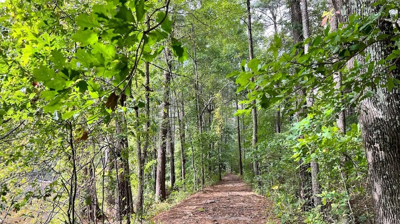 Reynolds Nature Preserve in Morrow, Georgia