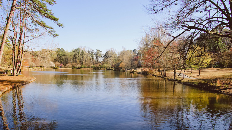 A pond in Avondale Estates, Georgia