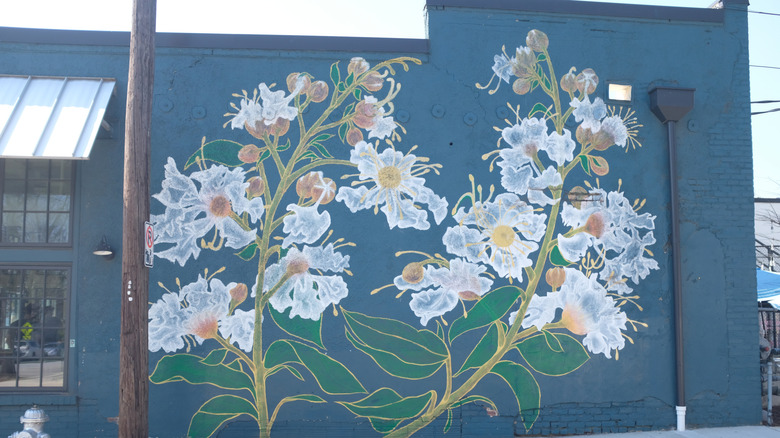 A flower mural in Summerhill, Atlanta