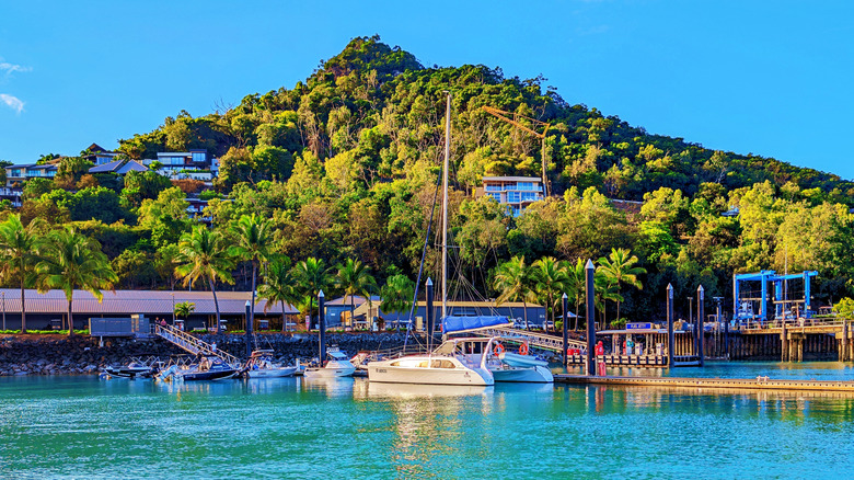 A scenic marina on Hamilton Island