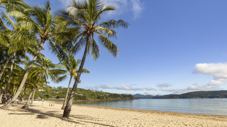 The scenic Catseye Beach on a sunny day