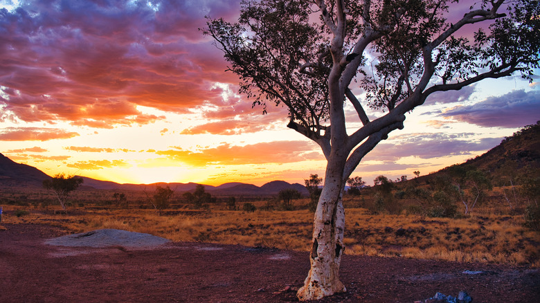 Sunset in the Pilbara region of Western Australia