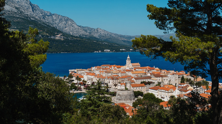 A view of Korčula, Croatia from between the trees