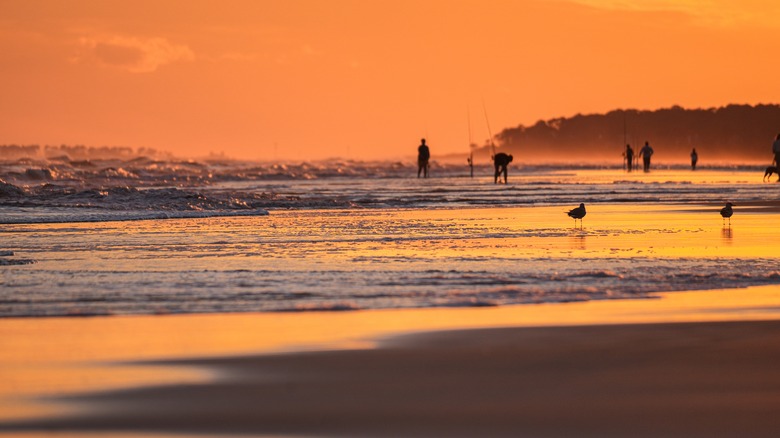 South Carolina coastline at sunset