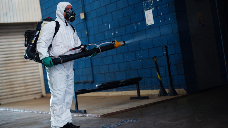A person exterminating insects